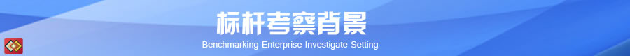 標桿考察背景