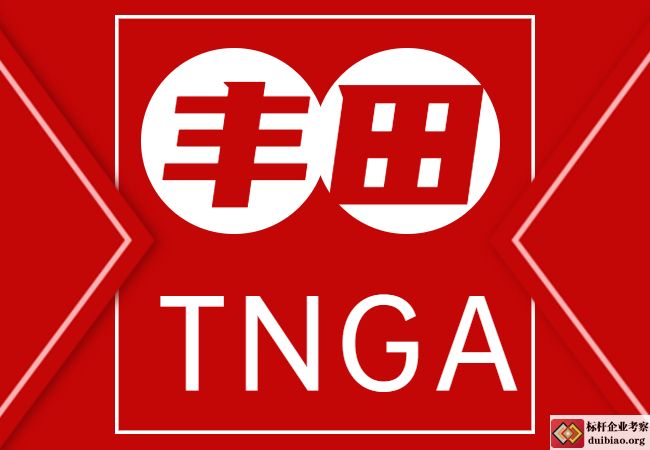 ​STNGA